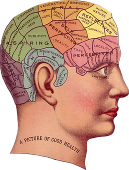 brain thinking areas